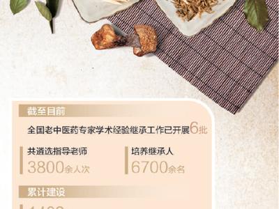 讓中醫“絕技”代代相傳(深度觀察)