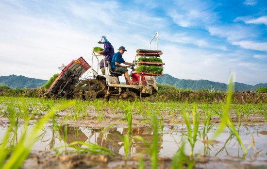 國務院聯防聯控機制回應防疫焦點問題：破堵點、保暢通、穩春耕