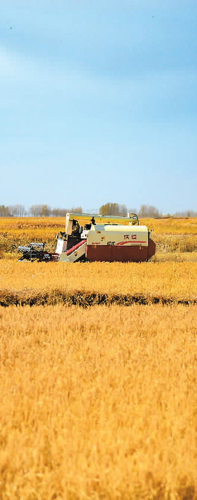 中國力度催人奮進-易網健康<a href=http://www.jsjjzhkt.cn/jkys/ target=_blank class=infotextkey>養生</a>網 中國力度催人奮進