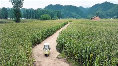 強基層,給全民健康更有力支撐-易網健康<a href=http://www.jsjjzhkt.cn/jkys/ target=_blank class=infotextkey>養生</a>網 強基層,給全民健康更有力支撐