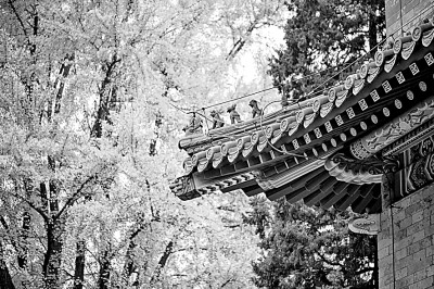 協和工友,默默的青磚綠瓦-易網健康<a href=http://www.jsjjzhkt.cn/jkys/ target=_blank class=infotextkey>養生</a>網 協和工友,默默的青磚綠瓦