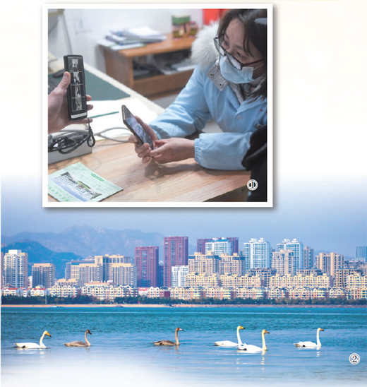 更加有針對性地開展愛國衛生運動（健康焦點）