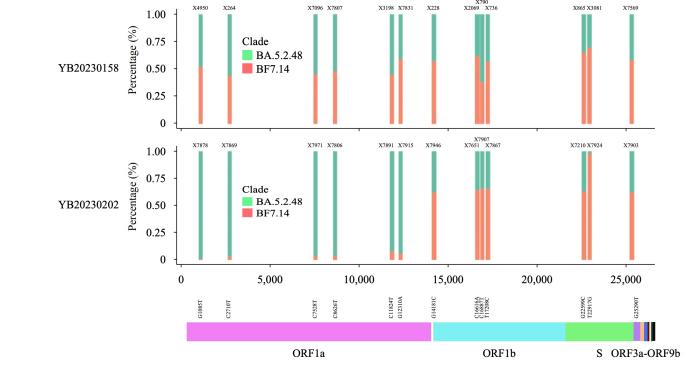 同時感染奧密克戎兩種毒株!如何看待這個“首次發(fā)現(xiàn)”?-易網(wǎng)健康<a href=http://www.jsjjzhkt.cn/jkys/ target=_blank class=infotextkey>養(yǎng)生</a>網(wǎng) 同時感染奧密克戎兩種毒株!如何看待這個“首次發(fā)現(xiàn)”?