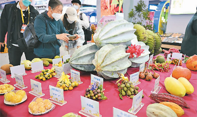 “洋水果”在中國安了家-易網(wǎng)<a href=http://www.jsjjzhkt.cn/ target=_blank class=infotextkey>健康養(yǎng)生</a>網(wǎng) “洋水果”在中國安了家