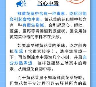 黃花菜吃鮮的更好？
