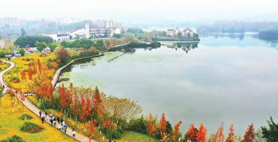 二〇二三，健康中國建設(shè)步履堅實（年終盤點）