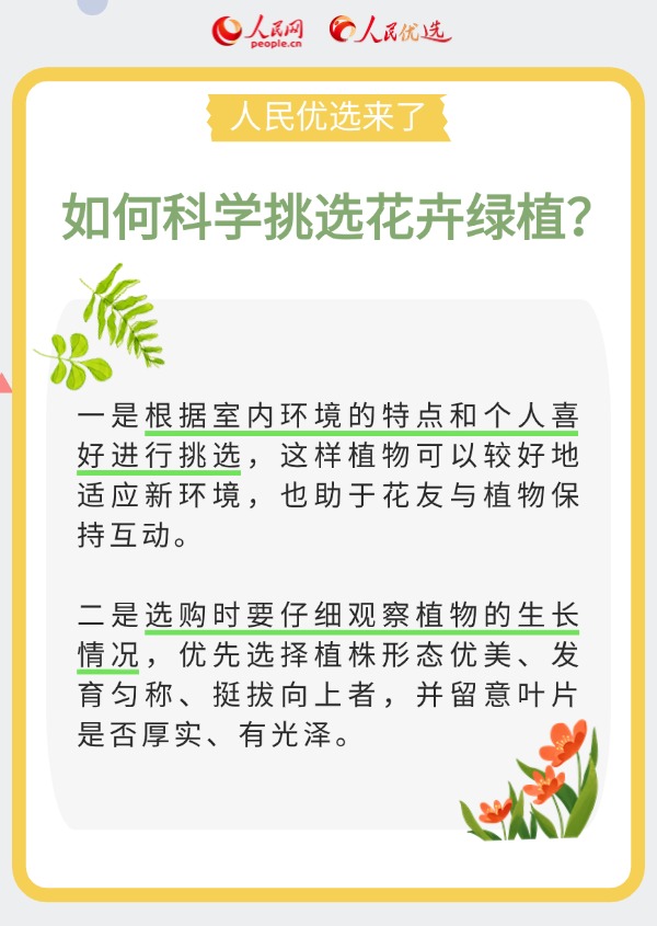 室內花卉綠植怎么選？實用小貼士請查收