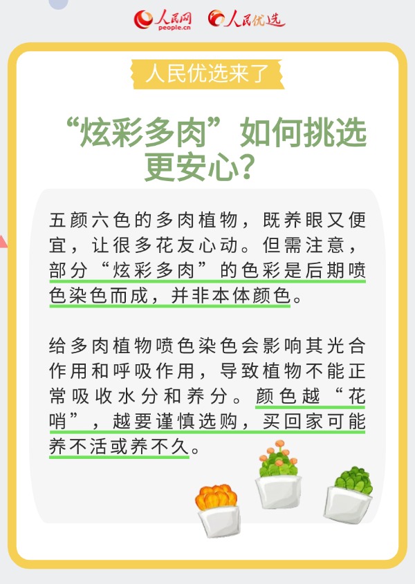室內花卉綠植怎么選？實用小貼士請查收