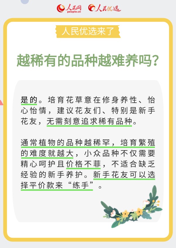 室內花卉綠植怎么選？實用小貼士請查收