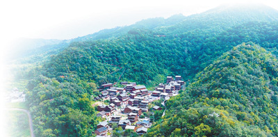 健康消費，供給與需求雙向奔赴（健康焦點）