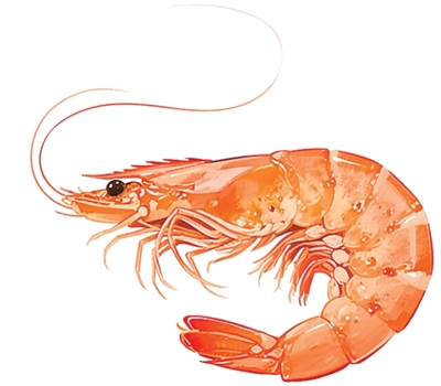 這樣吃海鮮 好吃又安全(健康驛站)-易網<a href=http://www.jsjjzhkt.cn/ target=_blank class=infotextkey>健康養生</a>網 這樣吃海鮮 好吃又安全(健康驛站)