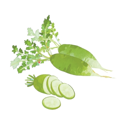 為什么“冬吃蘿卜夏吃姜”(文化中國行·二十四節氣二十四問)-易網健康<a href=http://www.jsjjzhkt.cn/jkys/ target=_blank class=infotextkey>養生</a>網 為什么“冬吃蘿卜夏吃姜”(文化中國行·二十四節氣二十四問)