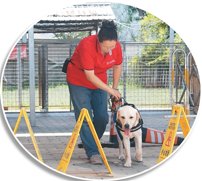 把“毛孩子”培養(yǎng)成“專業(yè)助手”（新職·新知?）