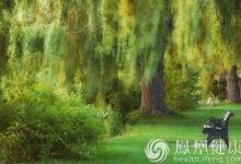 處暑后身體這七個部位尤其要注意