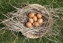 養生警惕:這6種蛋,吃了會傷身喪命