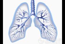 秋后這樣養(yǎng)肺冬來不生病！