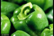 清除血液垃圾的10種食物