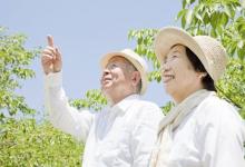 老人養(yǎng)生記住這五件事 防病又長壽