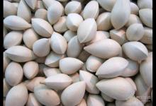 白果怎么吃才不會中毒?