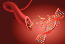 血管好不好,握拳30秒就能測出來