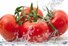吃番茄好處多,但是禁忌你們懂嗎?