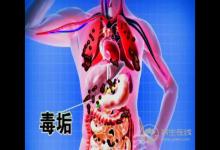 恢復腸道健康，清理累積毒素，推薦益生菌