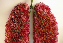 肺部垃圾多損健康,清肺一招簡單搞定