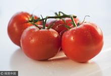 長這樣的西紅柿，再便宜也別買