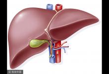 春季養肝有四法，從食物上下工夫