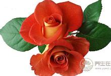 別看這5種食物常見,排毒暖胃就靠它們了!