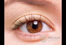 力薦改善視力的4大“養(yǎng)眼”食譜