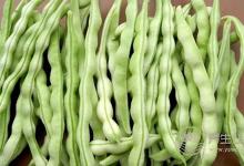 這7種蔬菜家里經(jīng)常煮，竟然有毒！