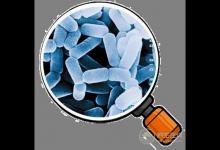 益生菌那么火，益生菌對(duì)人體到底有哪些好處