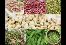 回南天如何除濕？關鍵一點別忘了