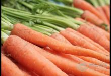 腸胃炎不只有白粥,4種養胃菜