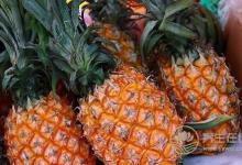 吃菠蘿會(huì)上火，別說你不知道