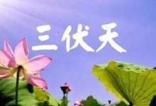 三伏天是失眠高峰期 如何才能睡個好覺?