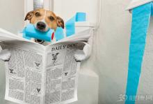 關(guān)于長壽，你有4個真相要知道！