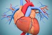 運動“健心”是長壽的秘訣!