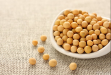 預防動脈硬化的食物有哪些?