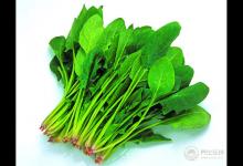 體重遲遲下不去?減肥期間吃這三樣,讓你瘦不停