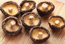 食用香菇應(yīng)該要注意哪些禁忌