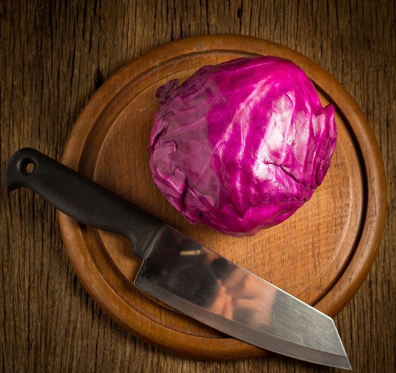 冰箱里的殺手連冷凍都能活! 冰箱里的殺手連冷凍都能活!