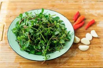 春天一定要吃的十四大黃金野菜 春天一定要吃的十四大黃金野菜