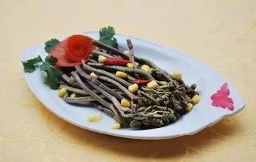 春天一定要吃的十四大黃金野菜 春天一定要吃的十四大黃金野菜