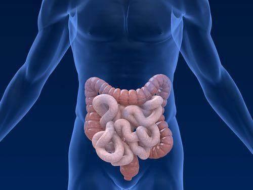 每天喝蜂蜜 到底能不能緩解便秘? 每天喝蜂蜜 到底能不能緩解便秘?