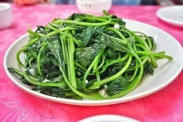 春天一定要吃的十四大黃金野菜 春天一定要吃的十四大黃金野菜