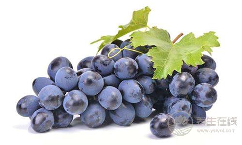 小龍蝦不能跟什么一起吃 搭配這些食物會中毒 小龍蝦不能跟什么一起吃 搭配這些食物會中毒