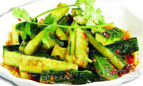 五款黃瓜減肥食譜 熱量超低健康瘦身 五款黃瓜減肥食譜 熱量超低健康瘦身