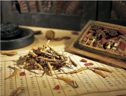 補腎壯陽藥酒配方大全 補腎壯陽藥酒配方大全